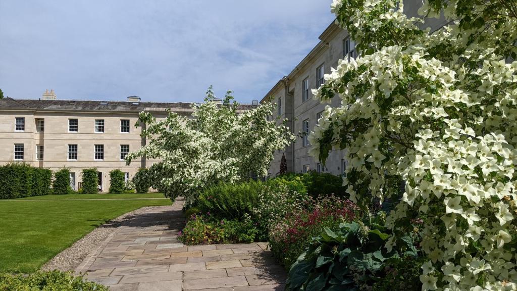 a garden with white flowers in front of a building at Rudding Park in Harrogate