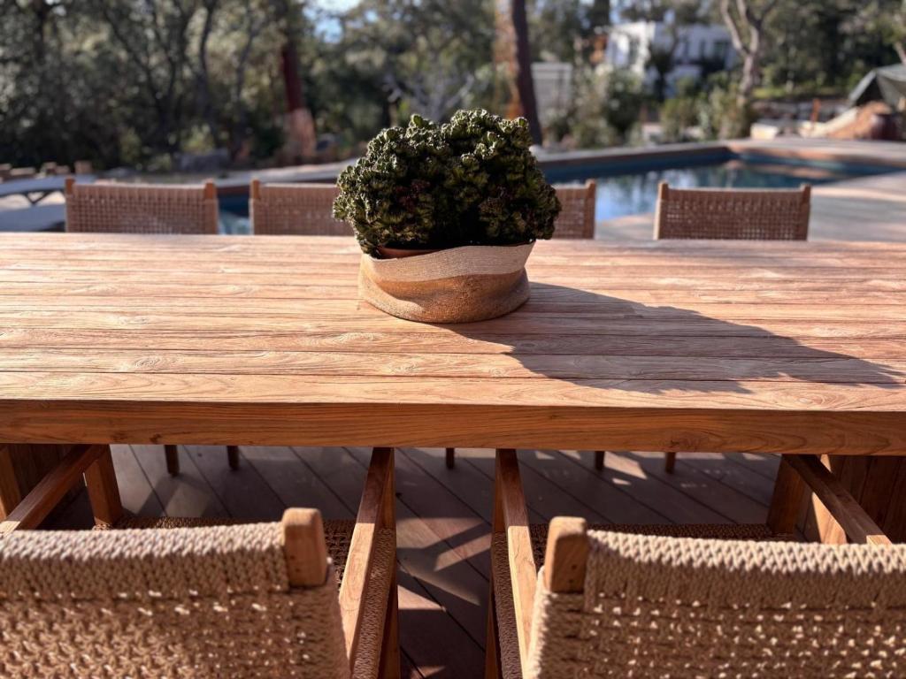 une table en bois avec une plante en pot au-dessus dans l'établissement Villa L'Immortelle, à Lecci