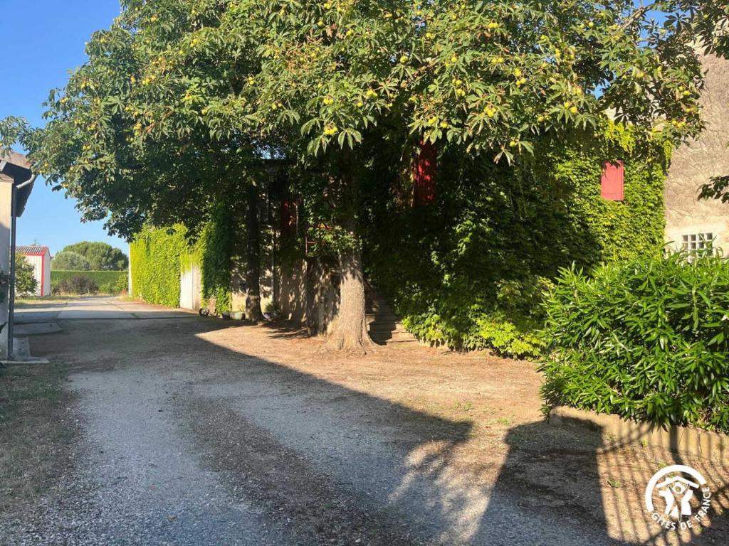Vonkajšia záhrada v ubytovaní Au centre du village