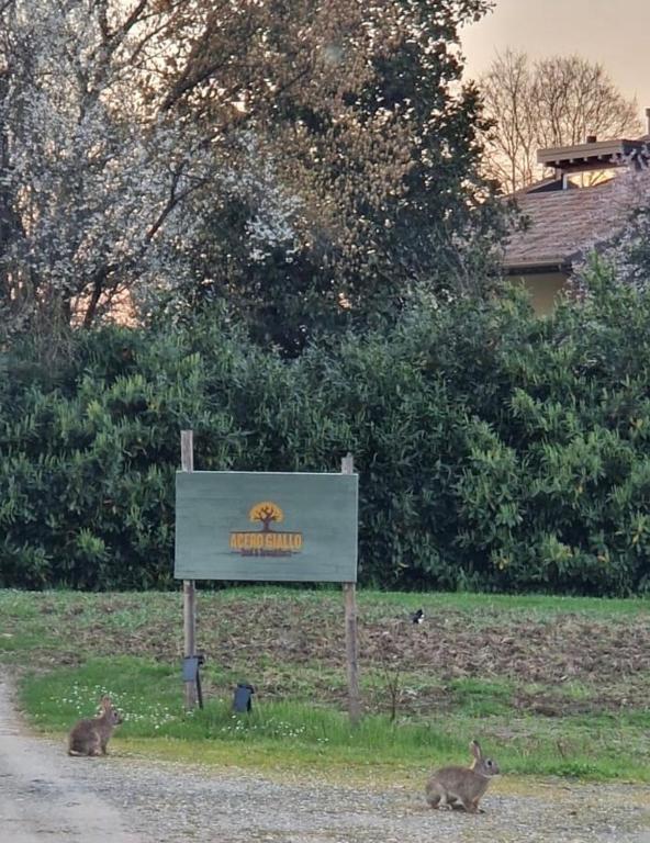 Zahrada ubytování Acero Giallo