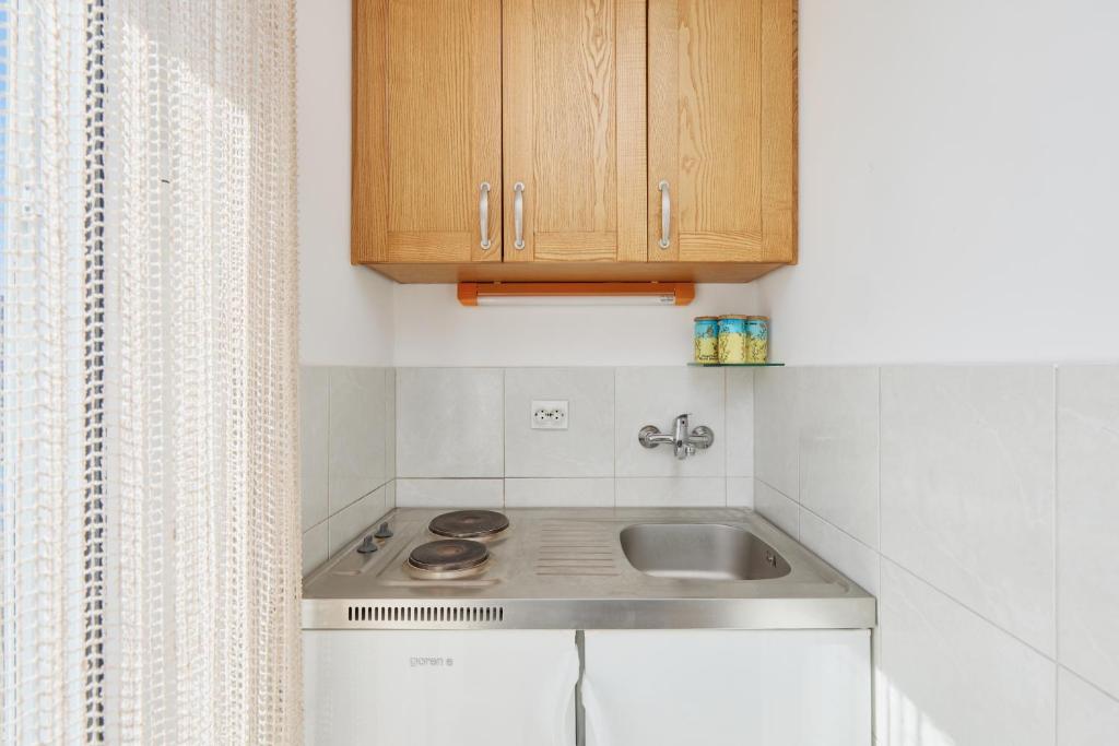 Kuchyň nebo kuchyňský kout v ubytování Rosic Apartments Baosici