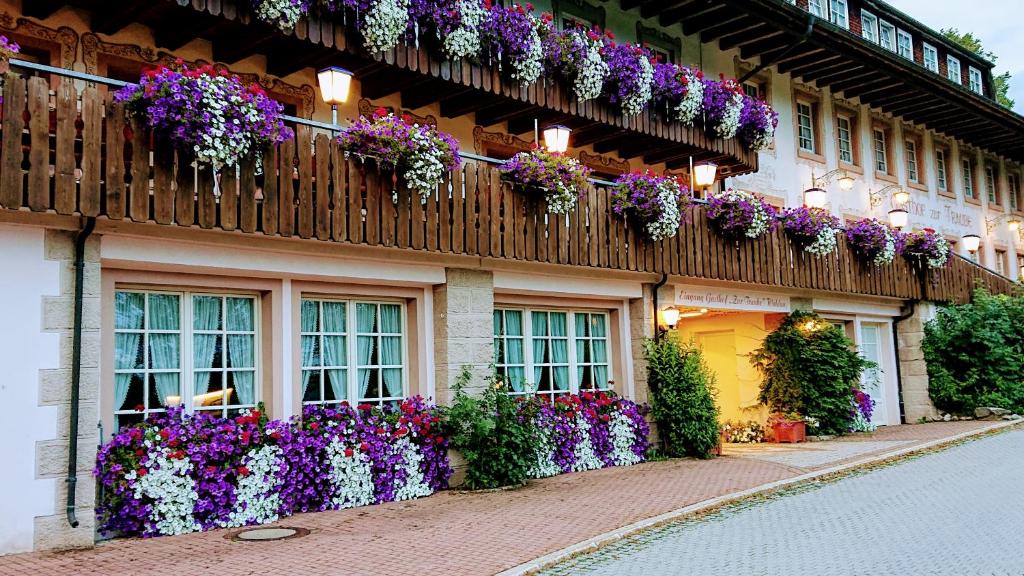 Zahrada ubytování ZUR TRAUBE Schwarzwaldhotel & Restaurant am Titisee