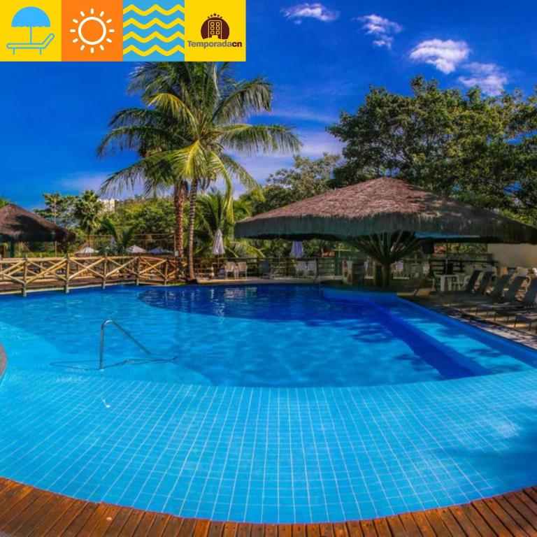 a large blue swimming pool with a palm tree at Le Jardin - Temporada CN - Adriele in Caldas Novas