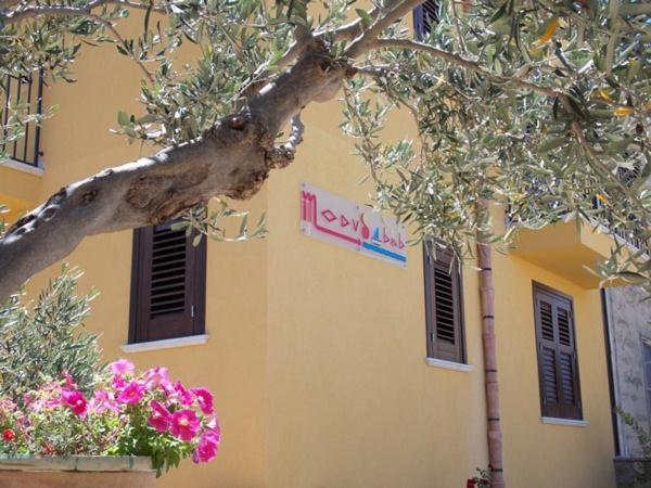 um edifício com duas janelas e uma árvore e flores em Modus B&B em San Vito lo Capo