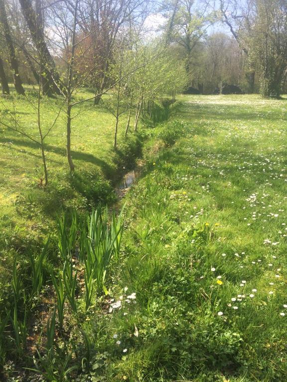 a path through a field with grass and flowers at Chambre d&#39;hôtes Le Moulin de Moulis in Moulis-en-Médoc