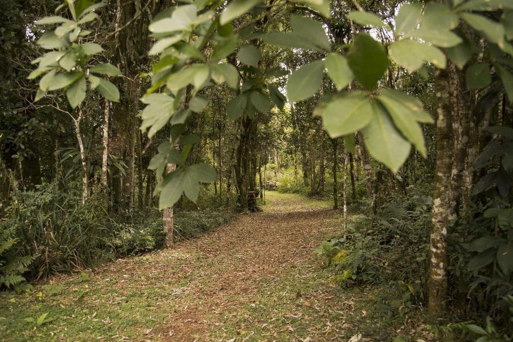  Refúgio Monte Olimpo