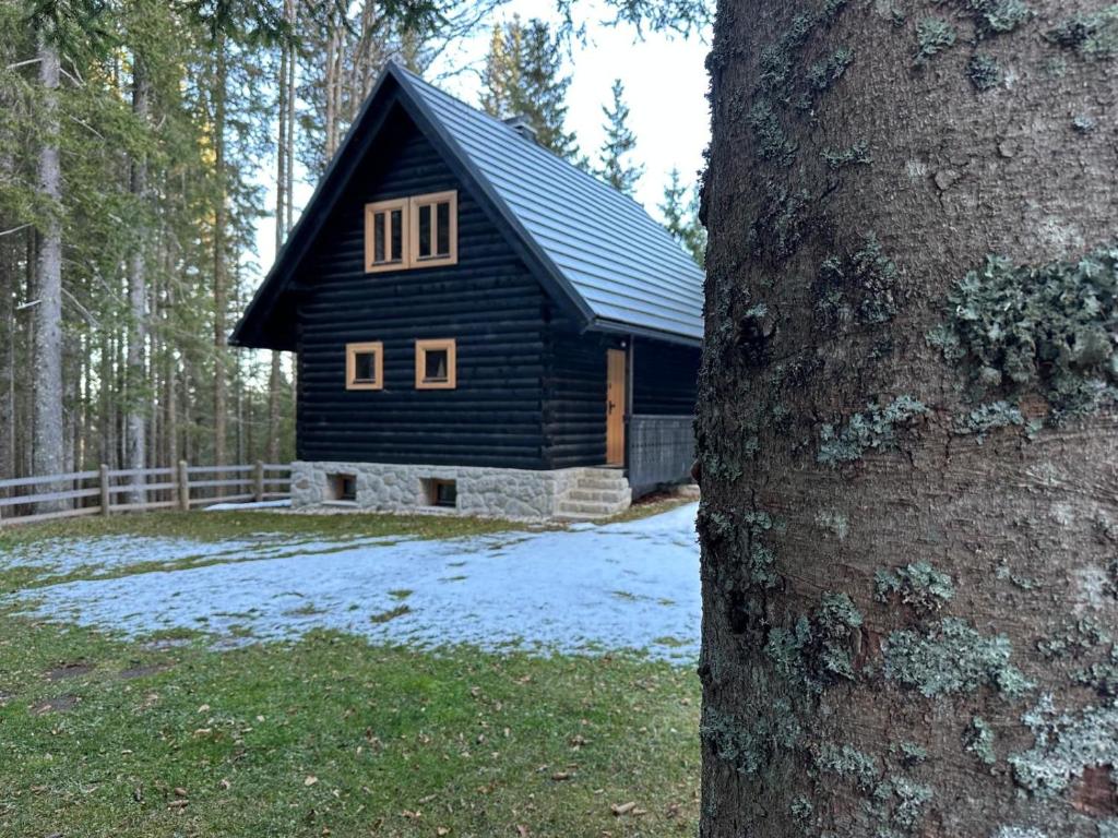 Příroda nedaleko chaty