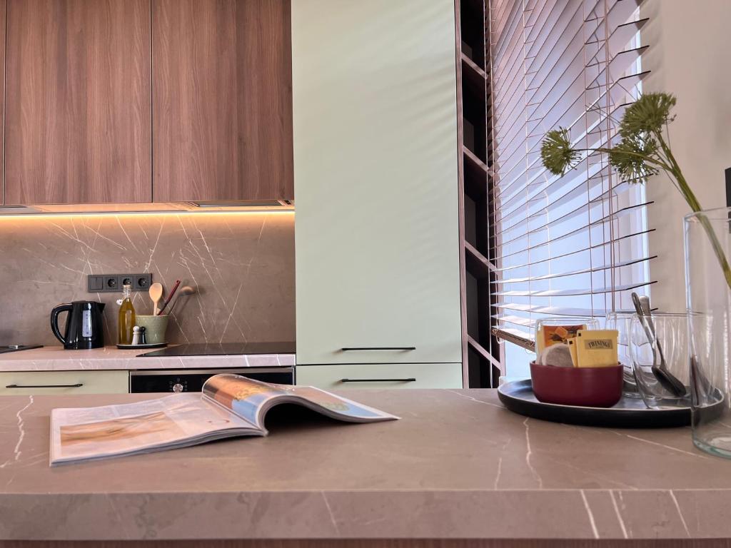 Kuchyň nebo kuchyňský kout v ubytování City central apartment