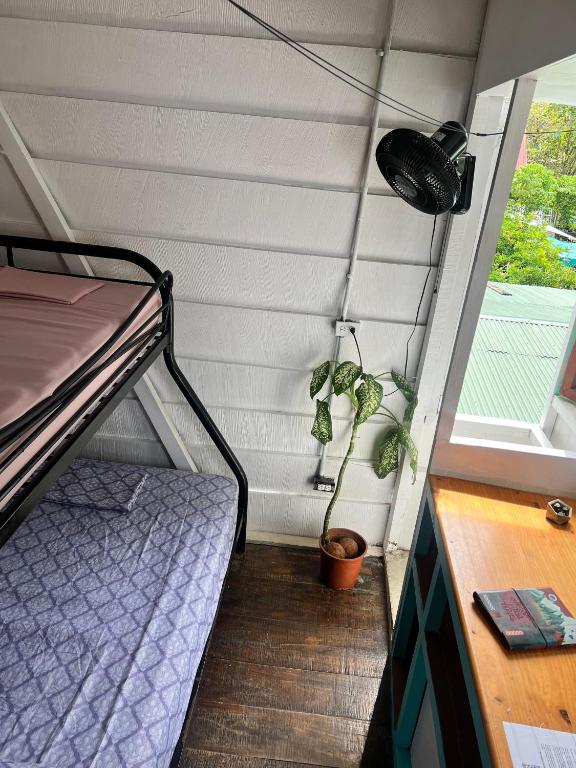 Postel nebo postele na pokoji v ubytování Backpackers Caribe Puerto Viejo