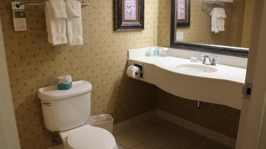 Koupelna v ubytování Wingate by Wyndham Peoria - Complimentary Area Shuttle