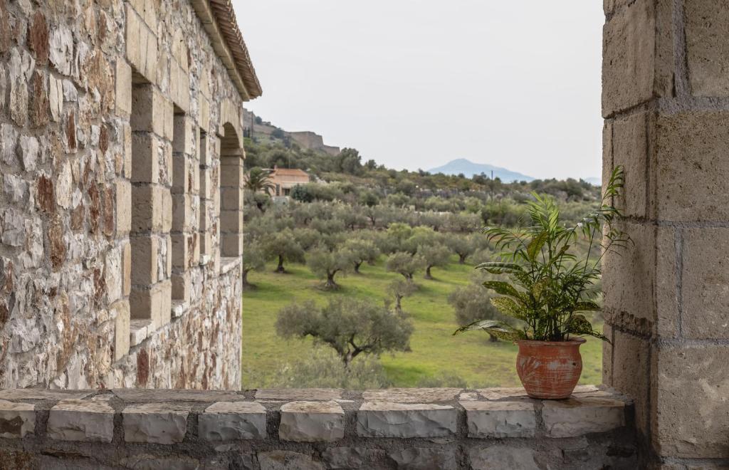 Klymeni Traditional Homes - 7