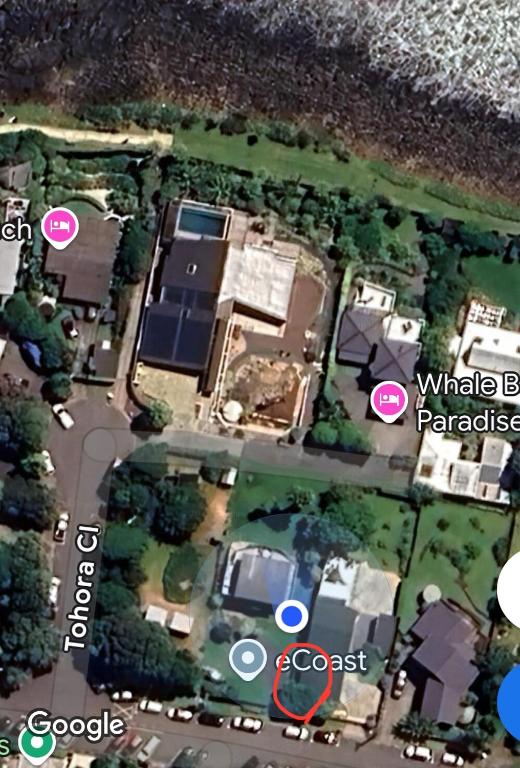 The Dream Whale Bay - Resim 9