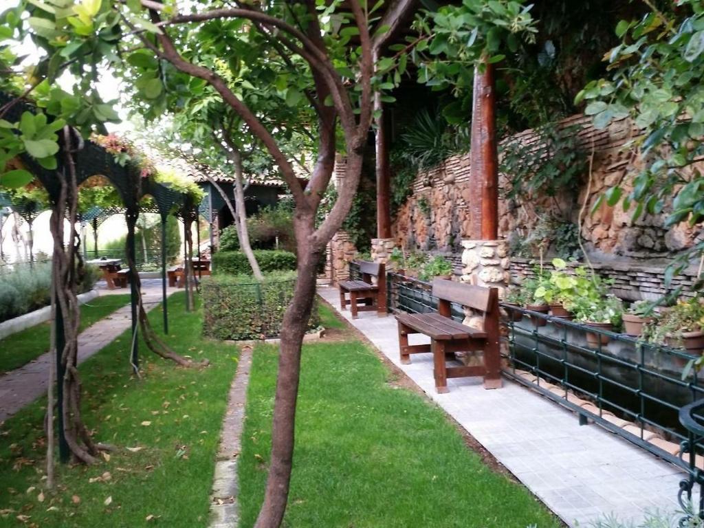 Zahrada ubytování Paraje el Serbal