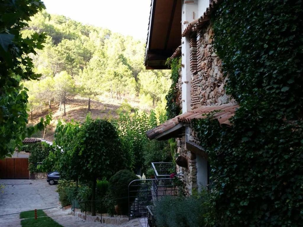 Zahrada ubytování Paraje el Serbal