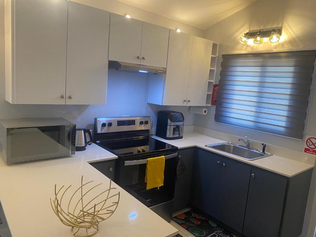 Η κουζίνα ή μικρή κουζίνα στο Andre's Manor