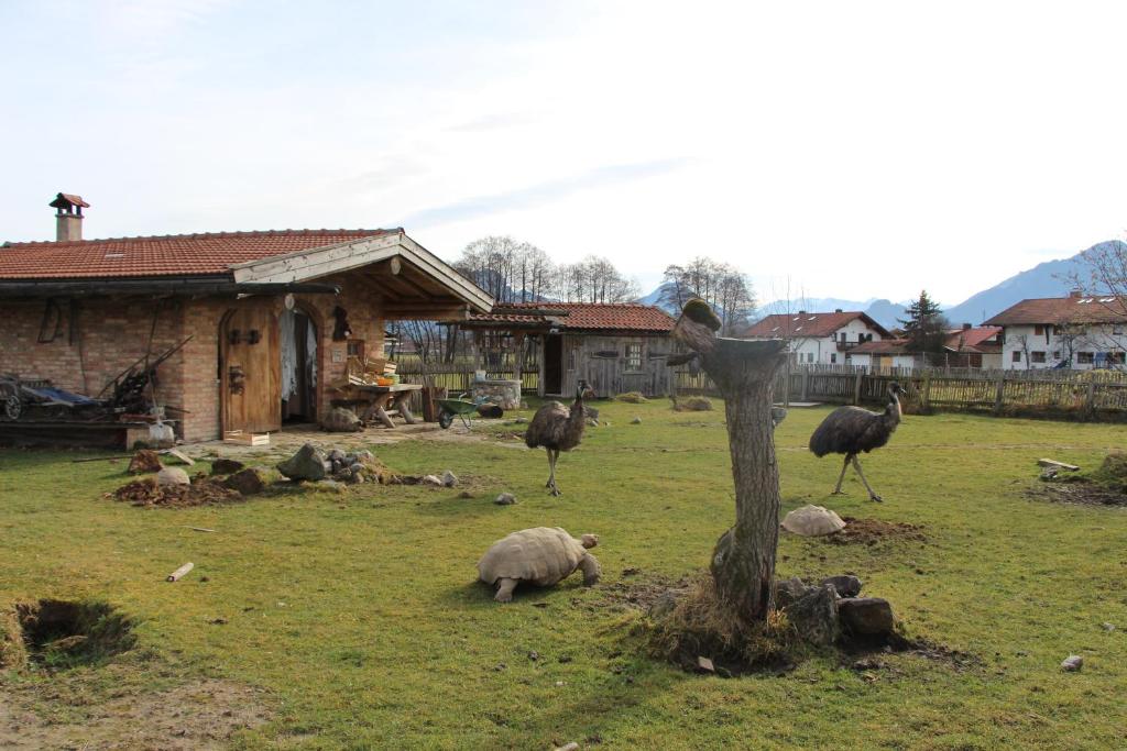 Příroda nedaleko hotelu