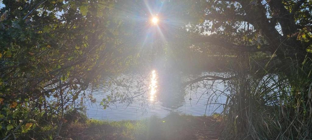 Laneway Cottage - Resim 31