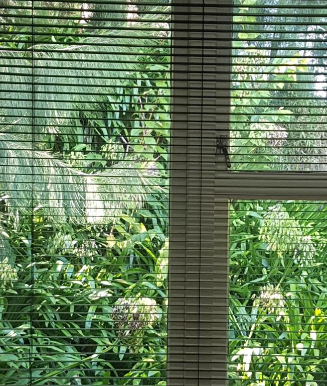 Laneway Cottage - Resim 20