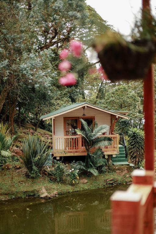 Jardín al aire libre en Cattaleya Eco