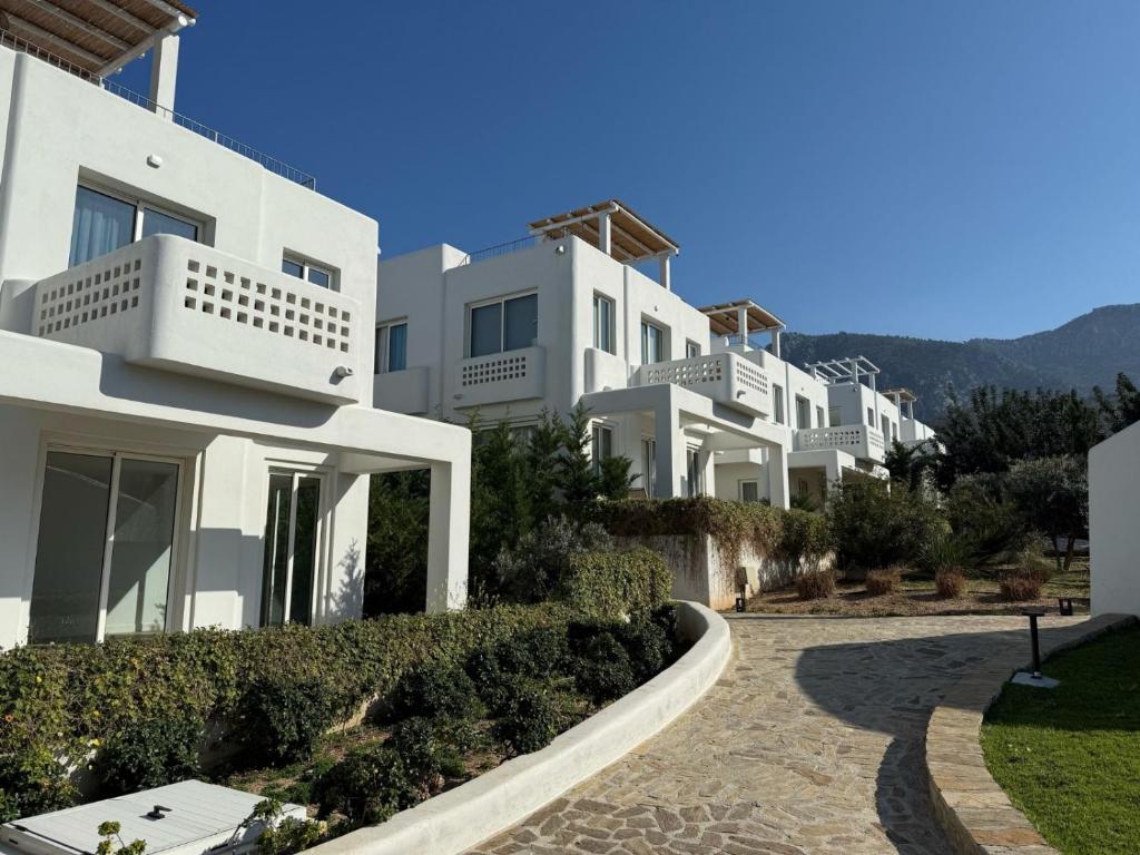 a row of white houses with mountains in the background at Terra in Elea