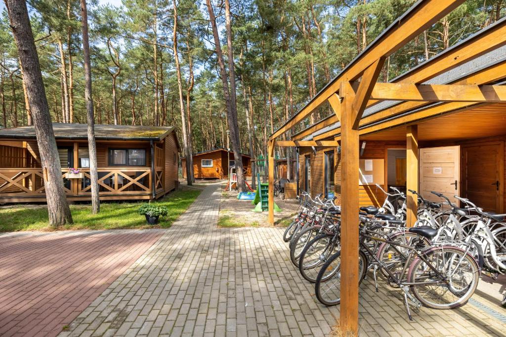 Jízda na kole v ubytování Domki "Arkadia" nebo okolí
