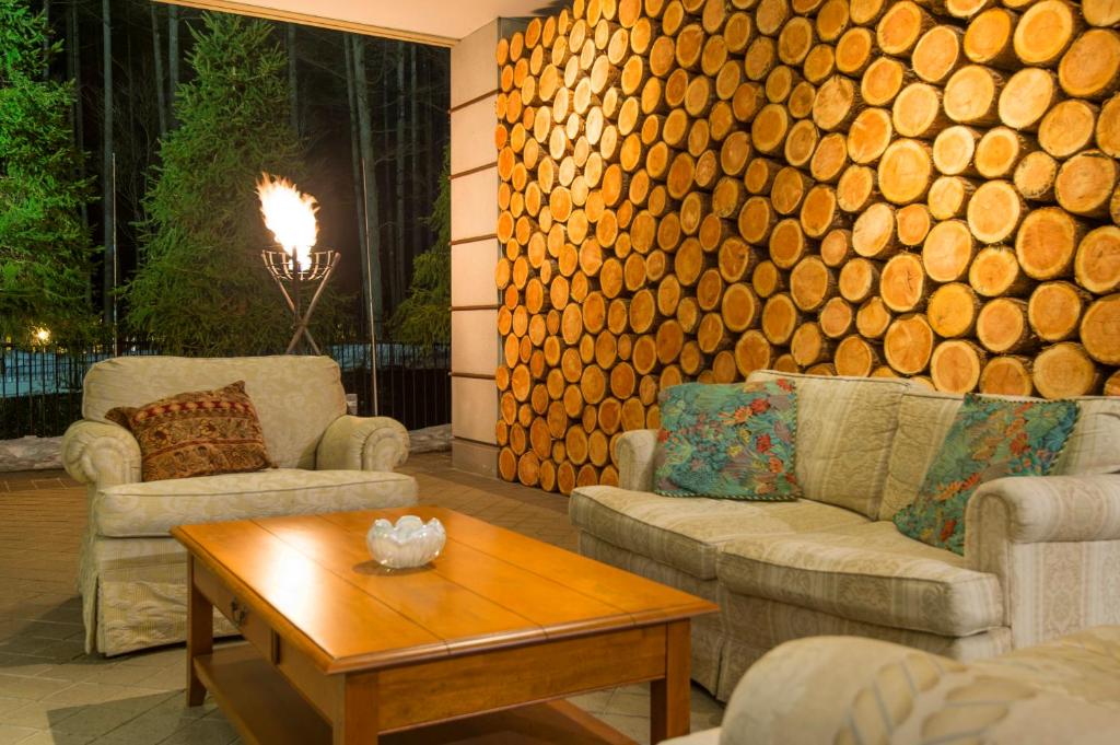 Posezení v ubytování Hakuba Mominoki Hotel
