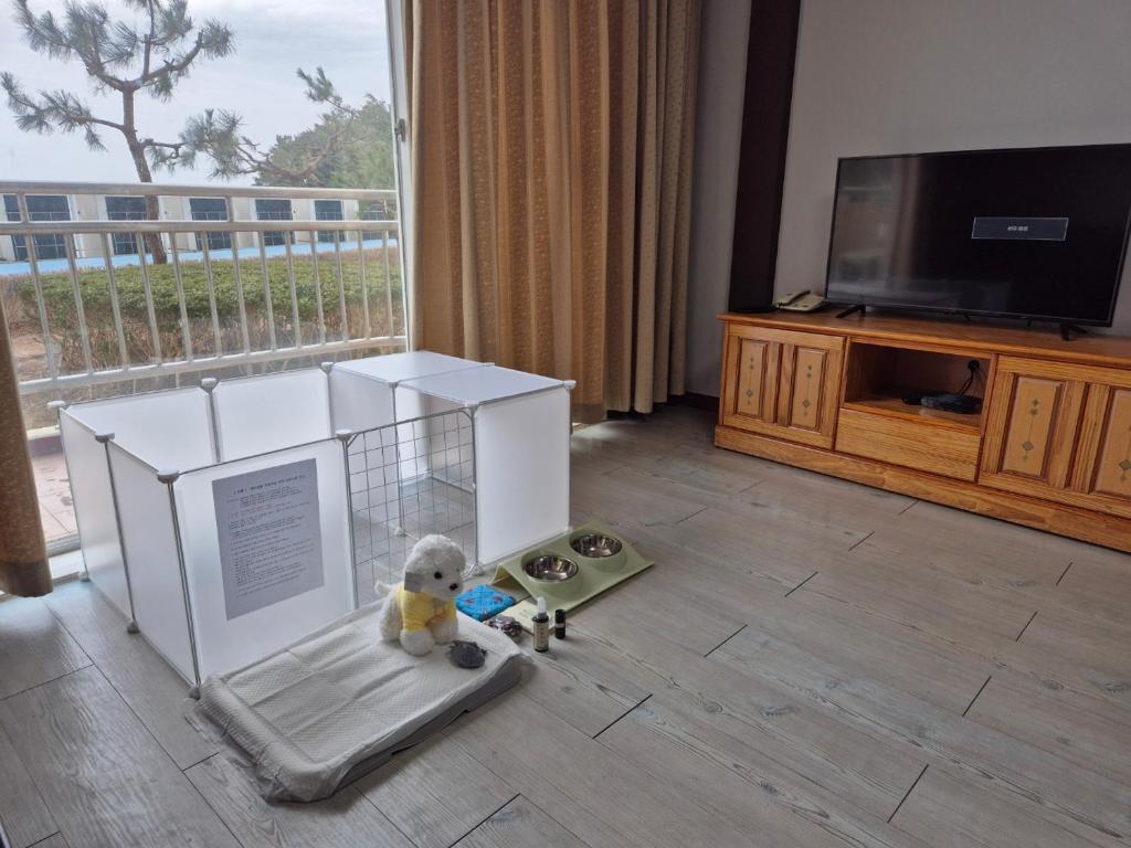 TV a/nebo společenská místnost v ubytování Kumgangsan Condo Sokcho