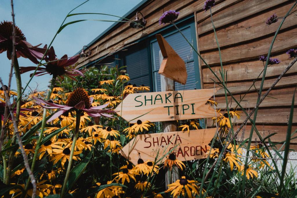 Zahrada ubytování Shaka Belgium Tipi