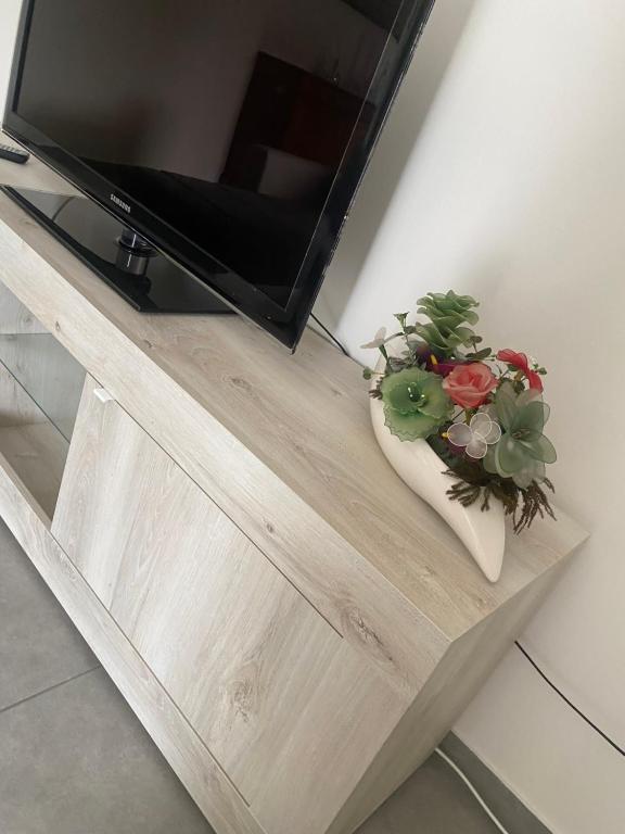 TV a/nebo společenská místnost v ubytování Casa engy