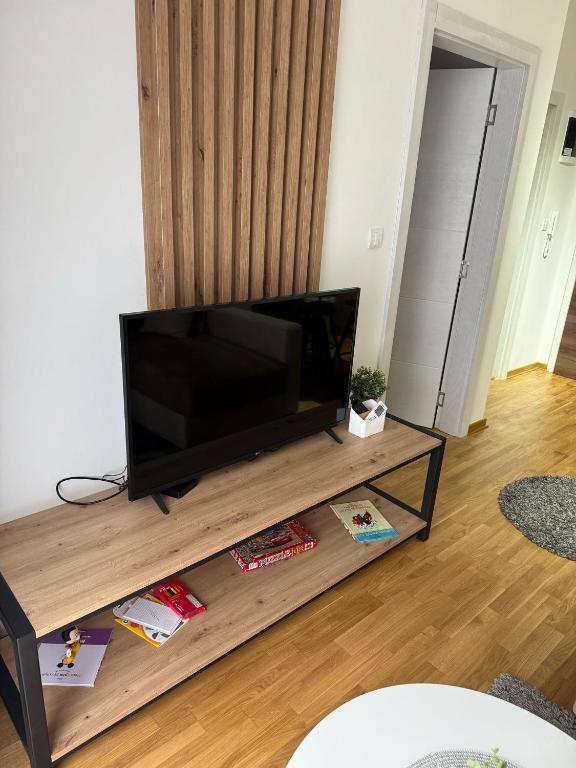 TV a/nebo společenská místnost v ubytování Royal apartmani Vrnjačka Banja