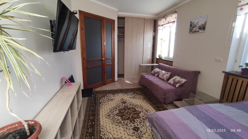 Televiisor ja/või meelelahutuskeskus majutusasutuses Guest House Dacha