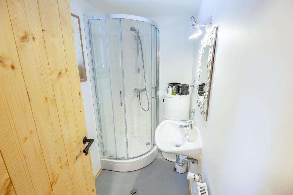 Koupelna v ubytování Cosy Lodge Pokljuka