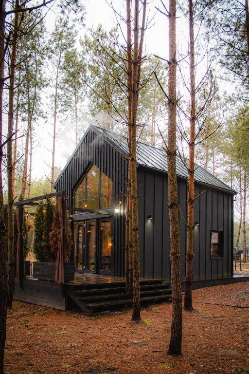 a black house in the middle of the forest at Domek SzumiSosna1 in Raków