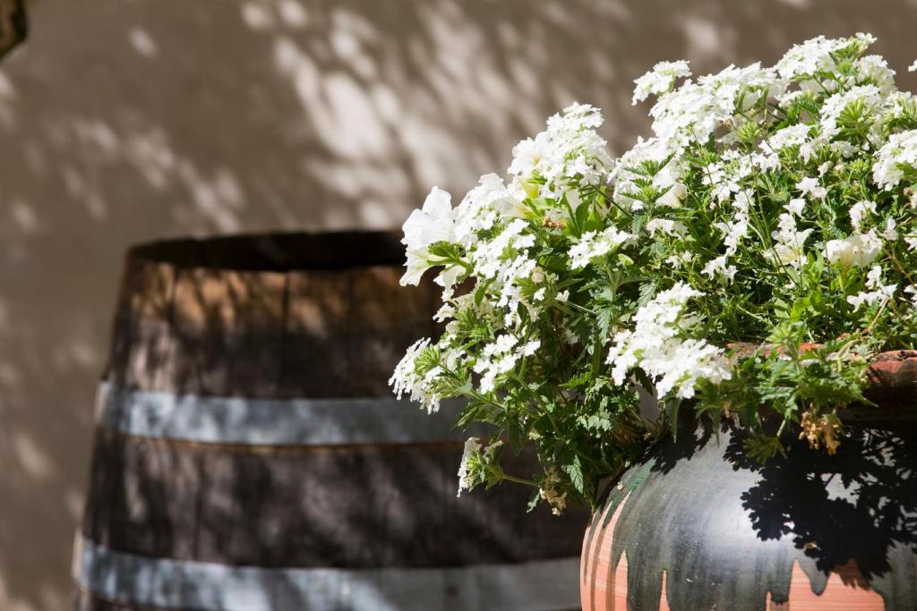Un jardín fuera de Hôtel Le Pré Galoffre