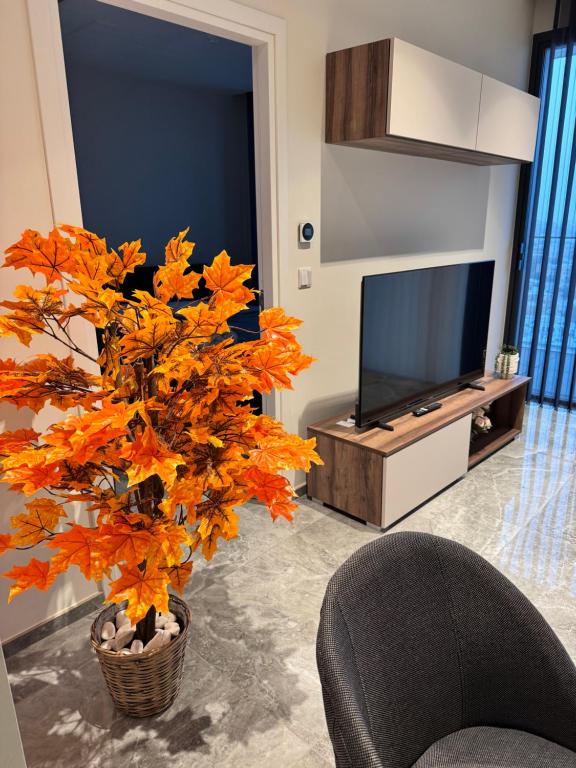 a plant in a vase in a living room with a tv at Sea view Mercury Tower, Rooftop infinity Pool in St. Julianʼs