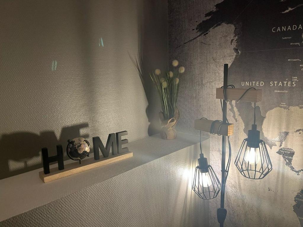 a room with two lights and a shelf with flowers at New F2 Le Chouch'heim 2 superficie 50 m2 cosy et renové 2025 in Hoenheim