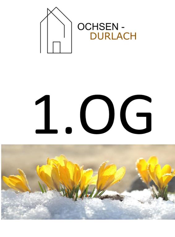 Ochsen-Durlach - 1