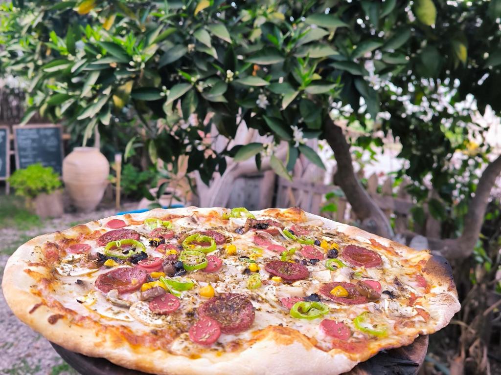 a pizza sitting on top of a table in front of a tree at Litost Cafe in Adrasan