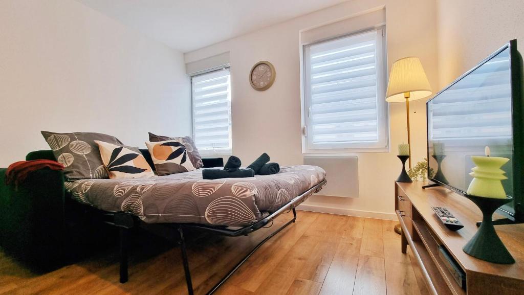 Les Suites Mulhousiennes - Charme & Sérénité – photo 5