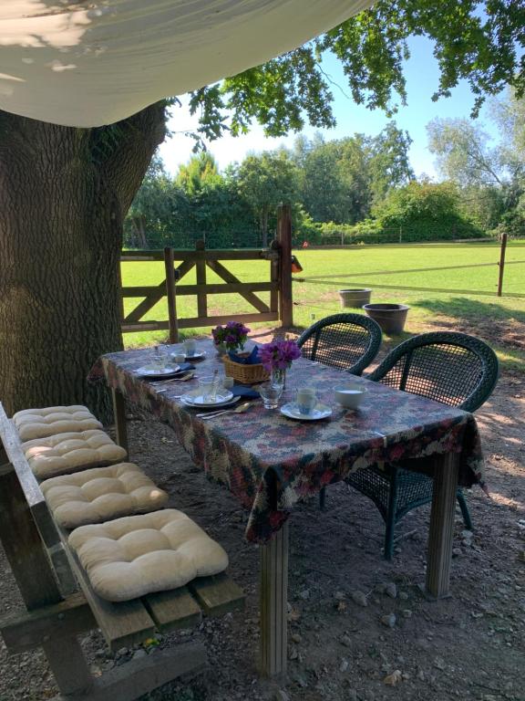 Zahrada ubytování Luxury Guest House - Eik op de dijk