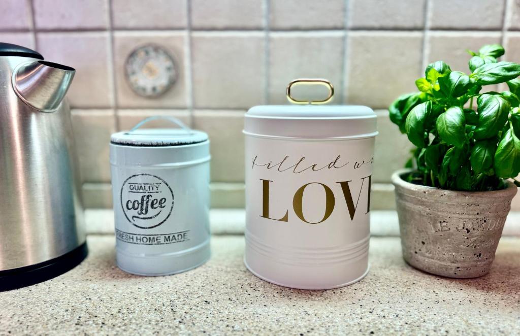 Apartmány Nerudova 36 - 12