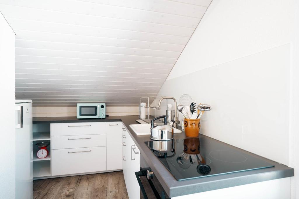 Kuchyň nebo kuchyňský kout v ubytování Apartment Sunnerösli