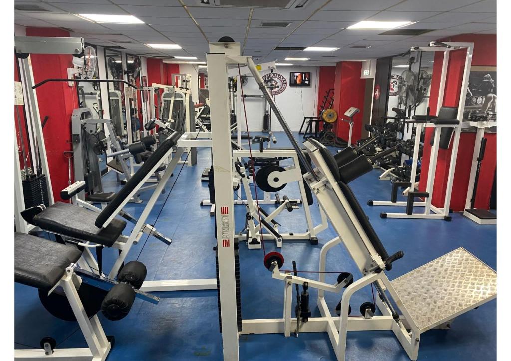 Fitness centrum a/nebo fitness zařízení v ubytování Navarria Blue Hotel