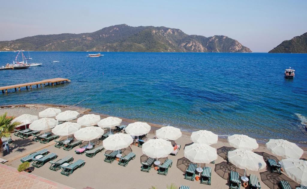 Příroda nedaleko hotelu