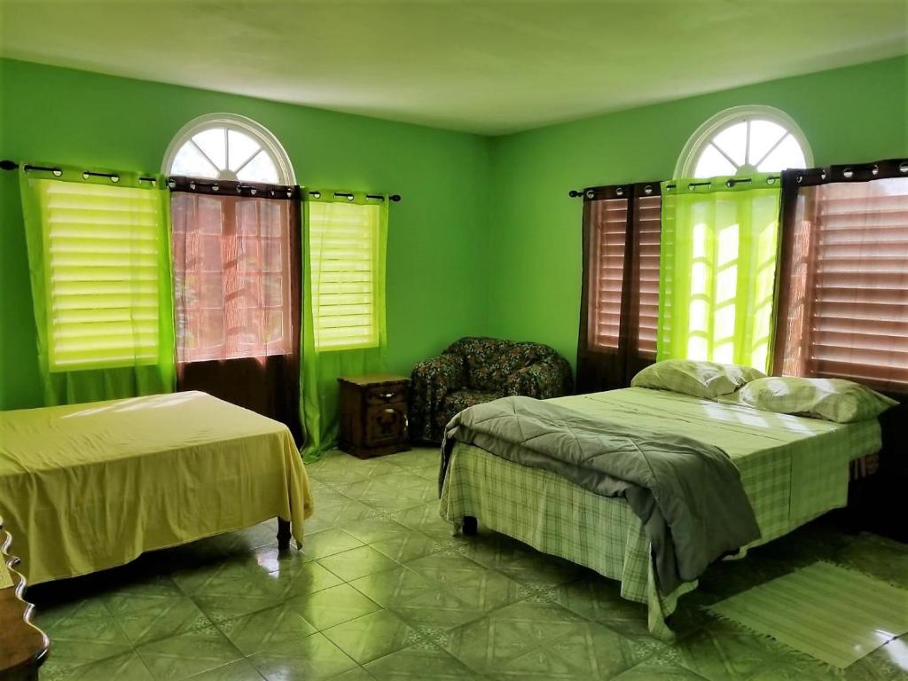 a green room with two beds and two windows at Maranatha Close in Montego Bay