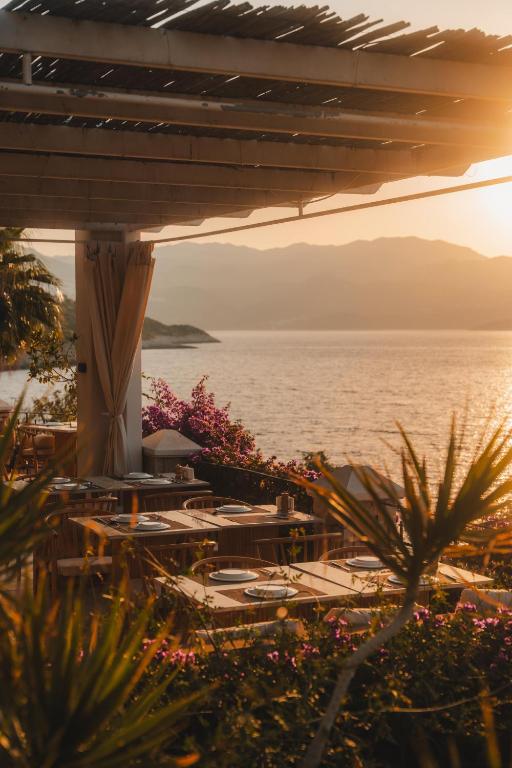 Villa Hotel Tamara - 6