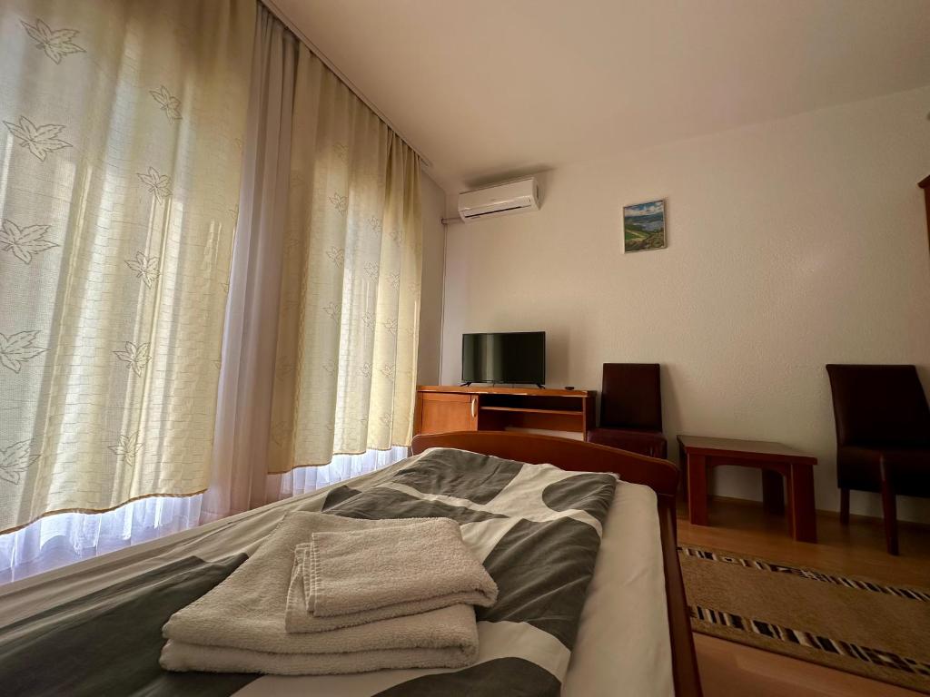 TV a/nebo společenská místnost v ubytování Wellness & Spa - Hotel Oaza