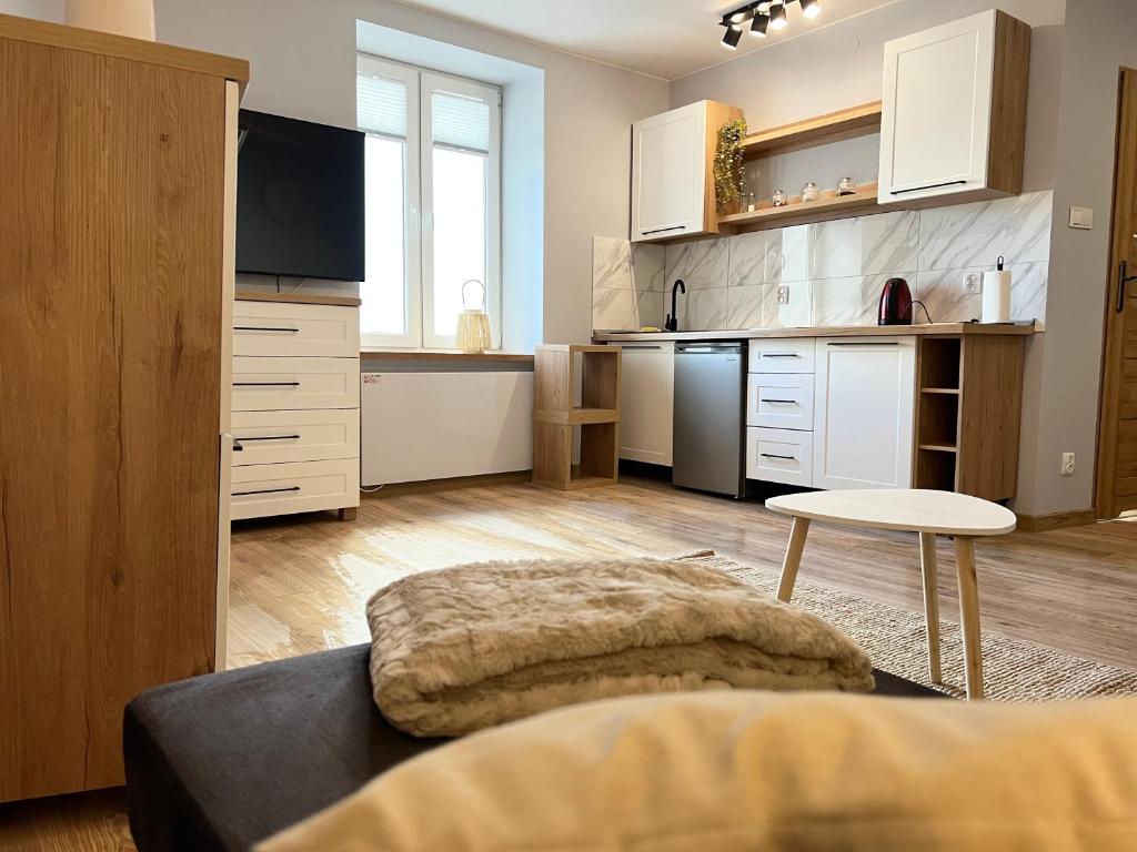 a kitchen with a couch and a table in a room at Kawalerka Łódź 51 in Łódź