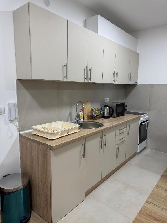 Kuchyň nebo kuchyňský kout v ubytování Apartman CRYSTAL Vrnjačka Banja