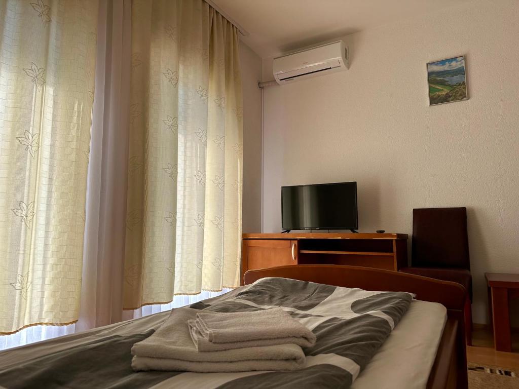 TV a/nebo společenská místnost v ubytování Wellness & Spa - Hotel Oaza